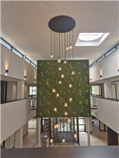 whatsapp-image-2024-07-31-at-170647-2